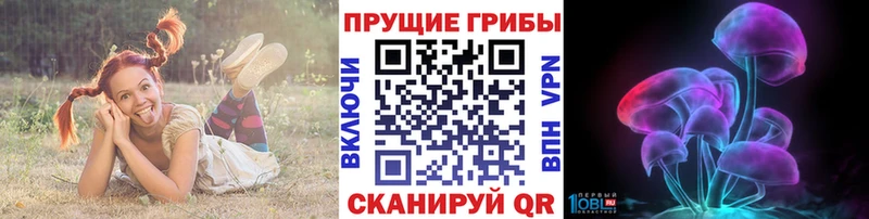 KRAKEN зеркало  магазин продажи   Анапа  Псилоцибиновые грибы мицелий 