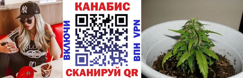 darknet состав  Анапа  Бошки марихуана Ganja 